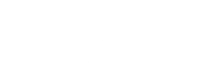 Avansa Business Technologies